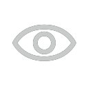 Login - password visible Icon