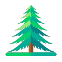 Areal spruce Icon