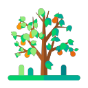 Surface pear tree Icon