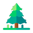 Surface pine Icon