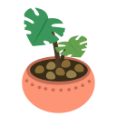 Turtle leaf Icon