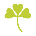 Ginkgo leaf Icon