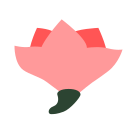 Chinese bellflower Icon