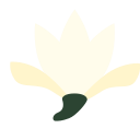 Epiphyllum Icon