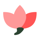 Peach blossom Icon