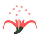 Red spider lily Icon
