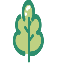 Large plants Icon