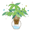 Green plant 5 Icon