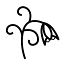 fritillaria thunbergii Icon