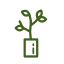 Large potted plant - woody plant Icon