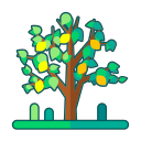 Linear lemon tree Icon