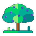 Linear mulberry Icon