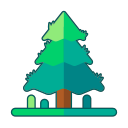 Linear pine Icon