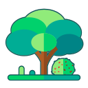 Linear Wutong tree Icon