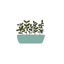 Kecute love small potted plants-11 Icon