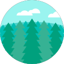 spruce Icon