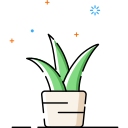 Plant icon Aloe Icon