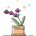 Plant icon Phalaenopsis Icon