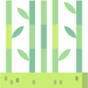 Bamboo Icon