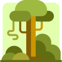 rainforest Icon