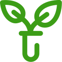 biology Icon