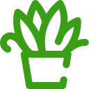 plant Icon