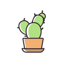 Daily 2_ cactus Icon