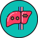 Hepatitis Icon