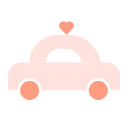 Special car Icon