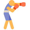 boxing Icon