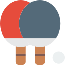 ping-pong Icon