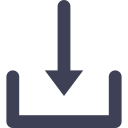 Import Icon