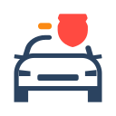 Driving rules Icon