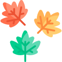 023-leaf Icon