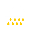 D10 rainstorm Icon