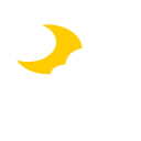 N13- snow Icon