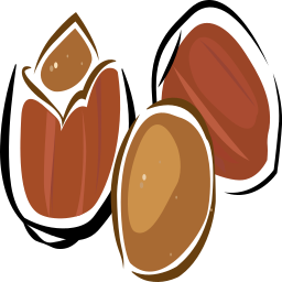 hazelnut Vector Icons free download in SVG, PNG Format