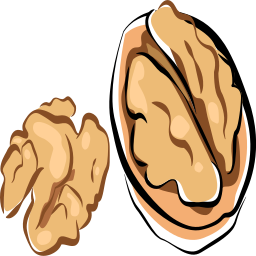 06 Walnut Kernel Vector Icons Free Download In Svg, Png Format