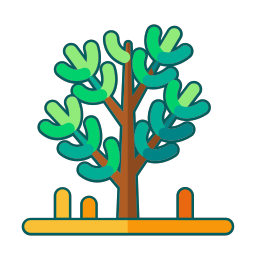 Platycladus orientalis Vector Icons free download in SVG, PNG Format