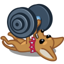 dog barbell Icon