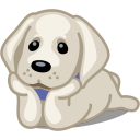 dog labrador Icon
