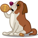 dog saint bernard Icon