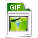 Imagen GIF Icon