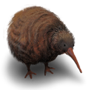 Kiwi Flightless Bird Icon