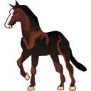 horse mustang Icon