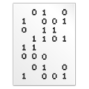 binary Icon