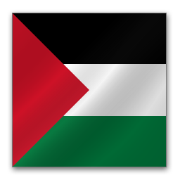 palestine flag png