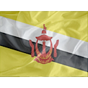 Regular Brunei Icon