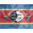 Regular Swaziland Icon