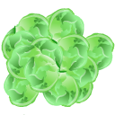 Brussels Sprout Icon